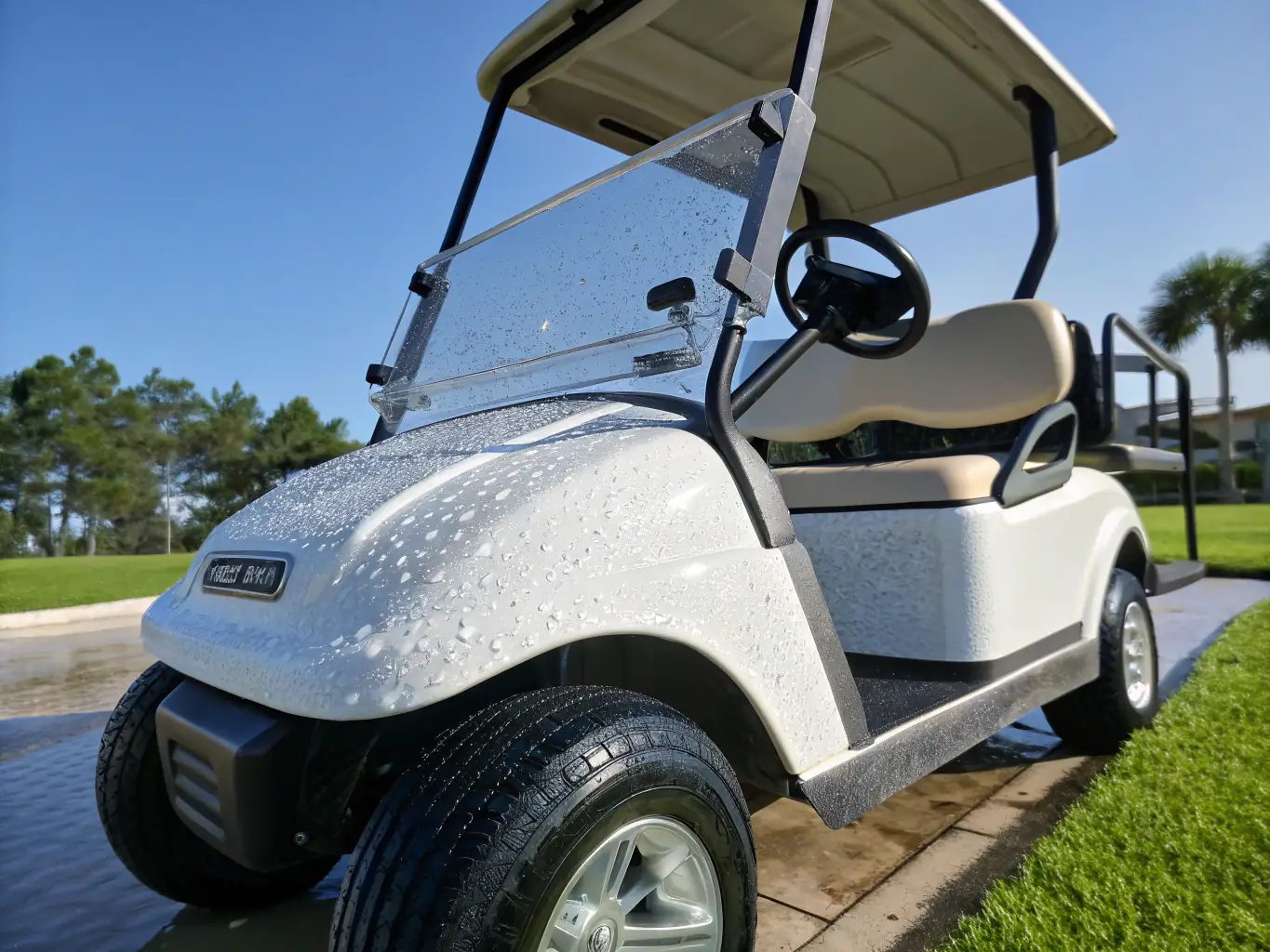 A high-quality image of a standard golf cart on a lush green golf course, showcasing its basic features and design. The cart is clean and well-maintained, with two visible seats and a simple dashboard.